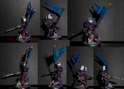 Dark Eldar Banner by AD19840304