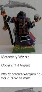 Mercenary Wizard / Necromancer by dArgent