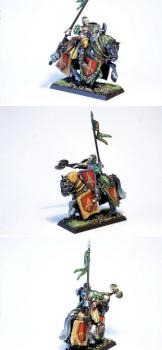 Lord / Hero of Bretonnia by LaurelinM