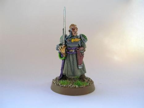 colonel de la garde imperiale by firefly30