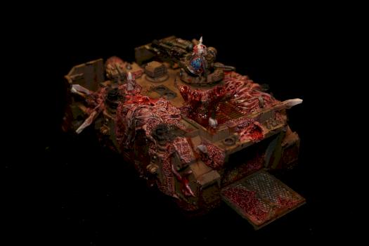VINDICATOR OF NURGLE by sered67