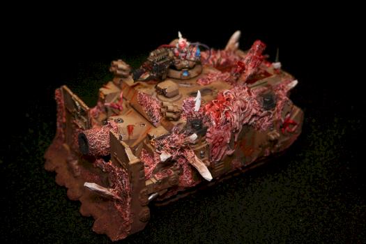 VINDICATOR OF NURGLE by sered67