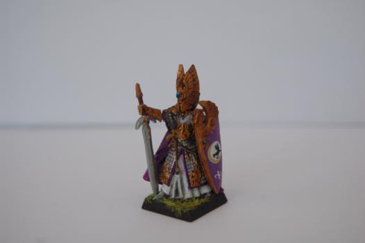 High Elf Prince A by troglodytesrus