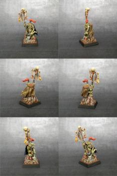Warhammer - Goblin shaman by patttttry85