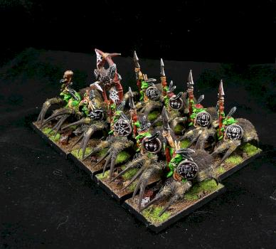 Warhammer Fantasy Battle Forest Goblin Spider Riders by DrD