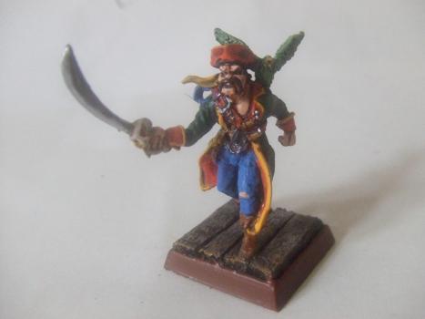 arven scarhull pirate captain by stealthrider