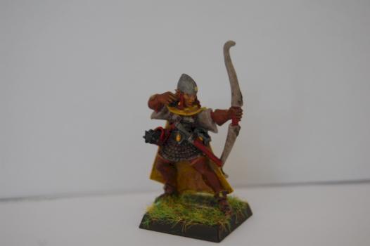 High Elf Shadow Warrior A by troglodytesrus