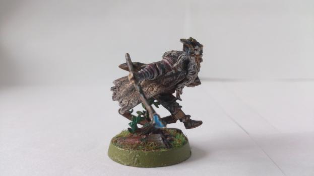 Radagast The Brown by hand-painted-heroes