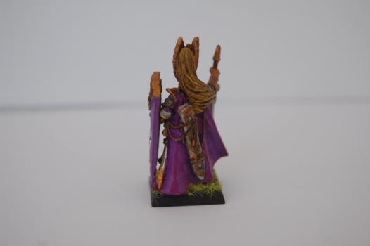High Elf Prince B by troglodytesrus