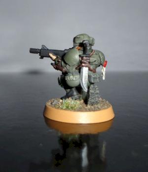 Imperial guard veteran by jerry polemica