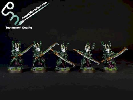Dark Eldar Incubi by perfectminiaturecom
