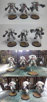 White Scars Primaris Space Marines Inceptor squad by GAS