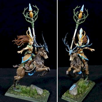 Sisters of the Thorn Commander by darcybono