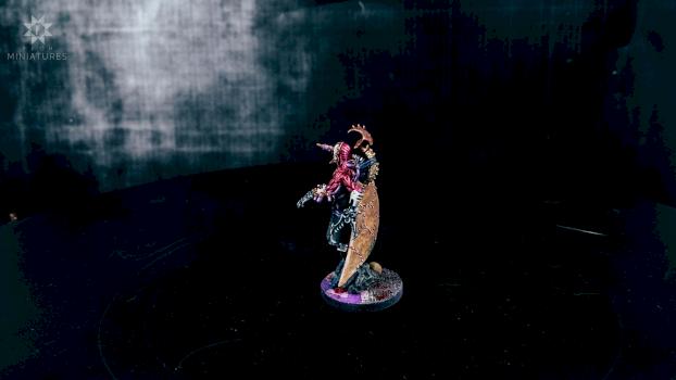 Haemonculus conversion Back by Irth