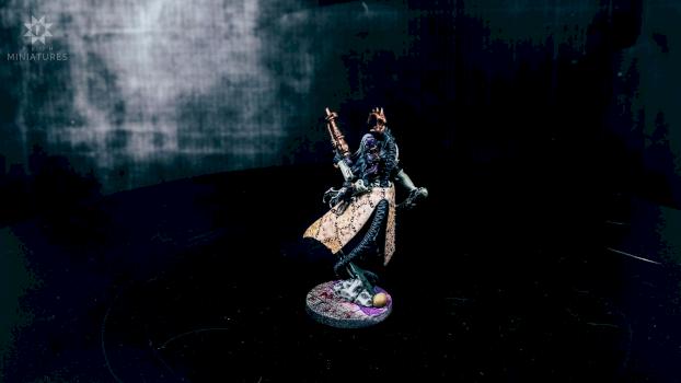 Haemonculus Back by Irth