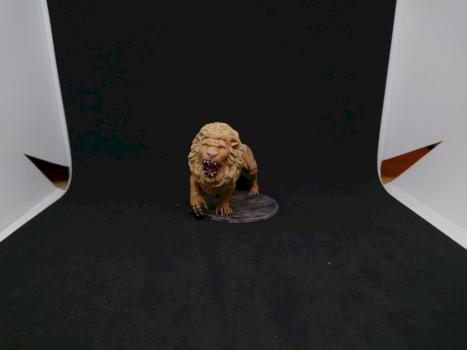 White Lion by Zabongo