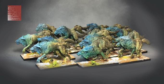 Age Of sigmar by caiman