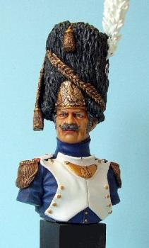 French Imperial Guard by zilch