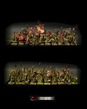 Warhammer Night Goblins  Army by Hexagone Club