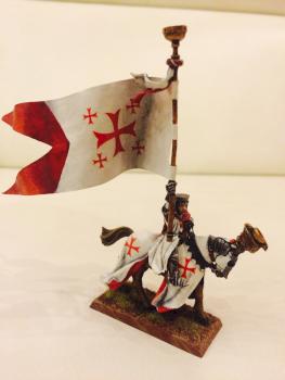 Bretonnia Stendard Bearer by Varyaron