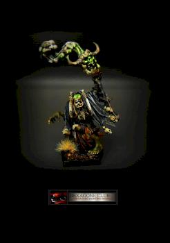 Warhammer Orc Shaman. by Hexagone Club