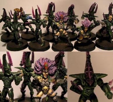 BB Dark Elves by evilstein