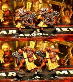 Witch Hunter Sisters of Battle - Battle Sister with Heavy Bolter by DresdenGreen