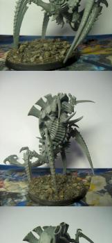 Spider fex by minimax