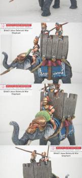 28mm Successor War Elephant DYM Painted by dygp2010