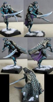 Dark elf Corsair by lukatme