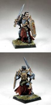 Paladin warrior by freefall199