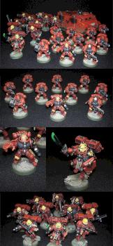 Blood Angels Battleforce by PrimalAce