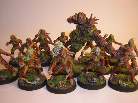 Veuillez patienter Image non disponible      * Agrandir  	 	 BLOOD BOWL Bloodbowl wood elves team by tyyler