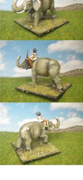 Numidian War Elephant DYM Painted ACA18a by dygp2010