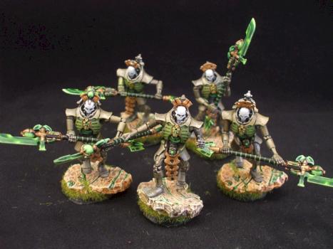 Necron Lychguard / Triarch Praetorians by bilorca