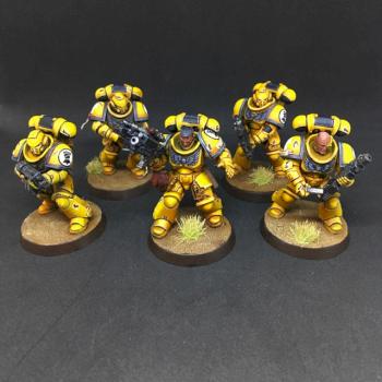 5X PRIMARIS INTERCESSORS IMPERIAL FISTS SPACE MARINES WARHAMMER 40k by juanlurockerman