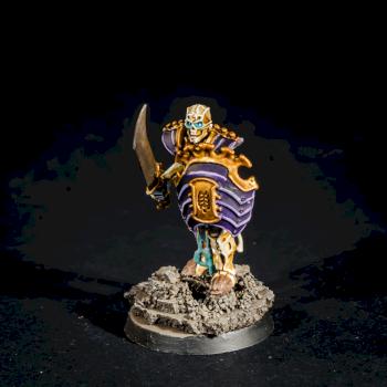 Ossiarch Bonereaper #1 by the_secret_paintbrush