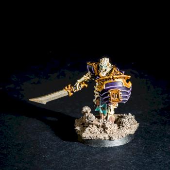 Ossiarch Bonereaper #4 by the_secret_paintbrush