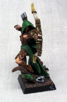 wood elf waywatcher hero view#1 by chiquita