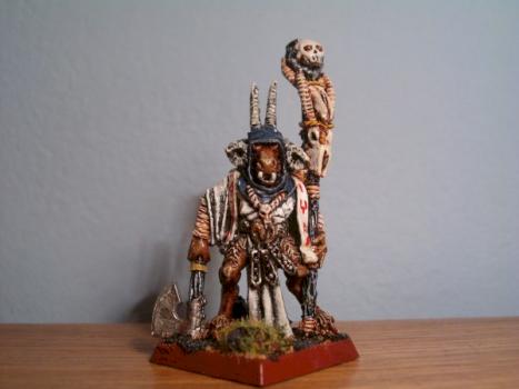 Bray Shaman 1 by Nesh