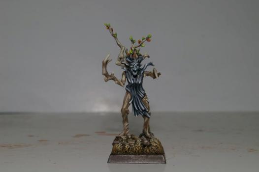 Dryad Unit Colours by Steve D