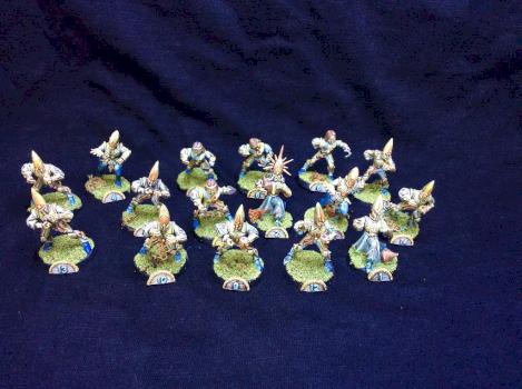 blood bowl high elves hauts elfes team converted by tyyler