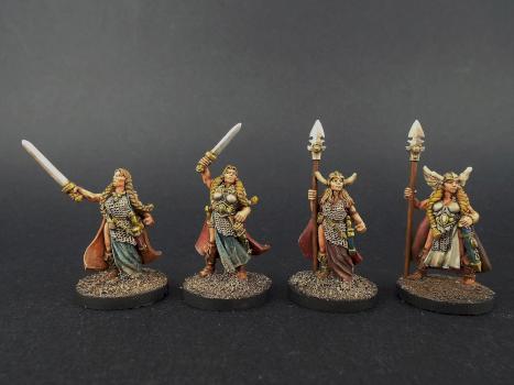 Starter Wips for another Saga Viking Warband 28mm Wargames Foundry by avalonindustries2040