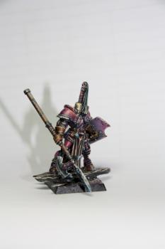 Champion de Slaanesh by JBR