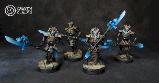 Necron Lychguard by Awaken Realms
