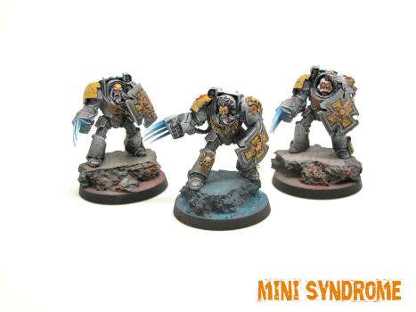 Wolfguard terminators by Leon0679
