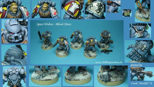 Space Wolves - Blood Claws by Hawk02