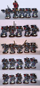 Space Wolves Grey Hunters. by Zuzu