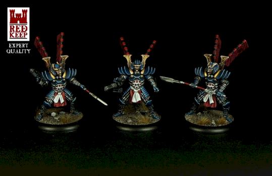 Warzone Mishima Tiger Dragons by Hexer