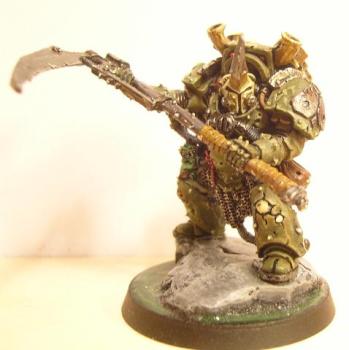 Typhus by Whiteout